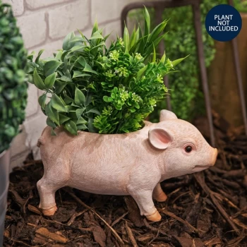 image of Naturecraft Collection - Pig Planter