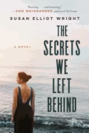 Image of secrets we left behind a novel