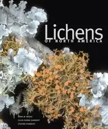 Image of lichens of north america