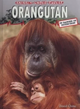 Image of Orangutan by David Orme Hardback