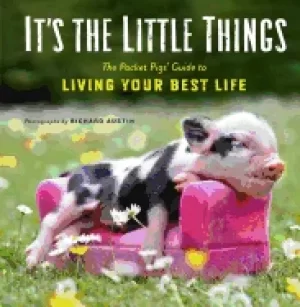 Image of its the little things the pocket pigs guide to living your best life inspir