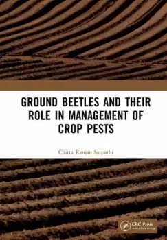 Image of Ground Beetles and Their Role in Management of Crop Pests