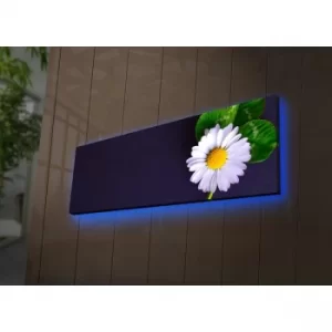 Image of 3090DACT-56 Multicolor Decorative LED Lighted Canvas Painting