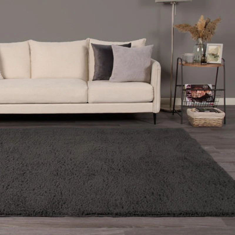 Image of OHS OHS Fluffy Teddy Rug Soft Rugs Bedroom Carpet Area Mat in Charcoal Size: 120cm x 170cm Charcoal 120cm x 170cm Unisex 5027434166947