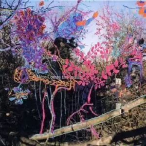 Image of Here Comes the Indian by Animal Collective CD Album