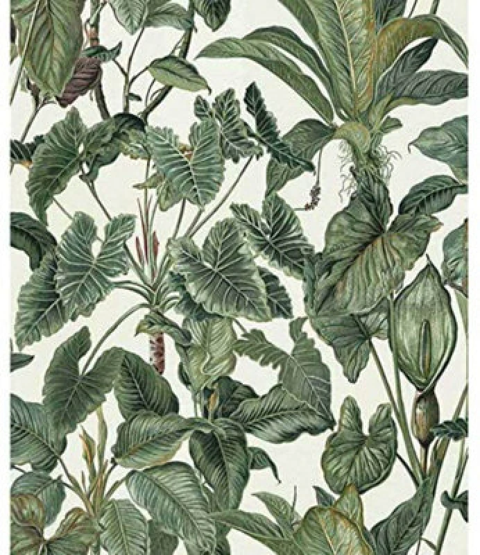 Image of ERISMANN Erismann - Paradiso Wallpaper Jungle Green Leaves Paradise Tropical Feature Vinyl X1-FJ30-64DR