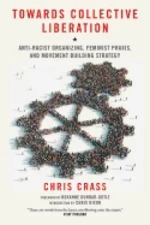Image of towards collective liberation anti racist organizing feminist praxis and mo