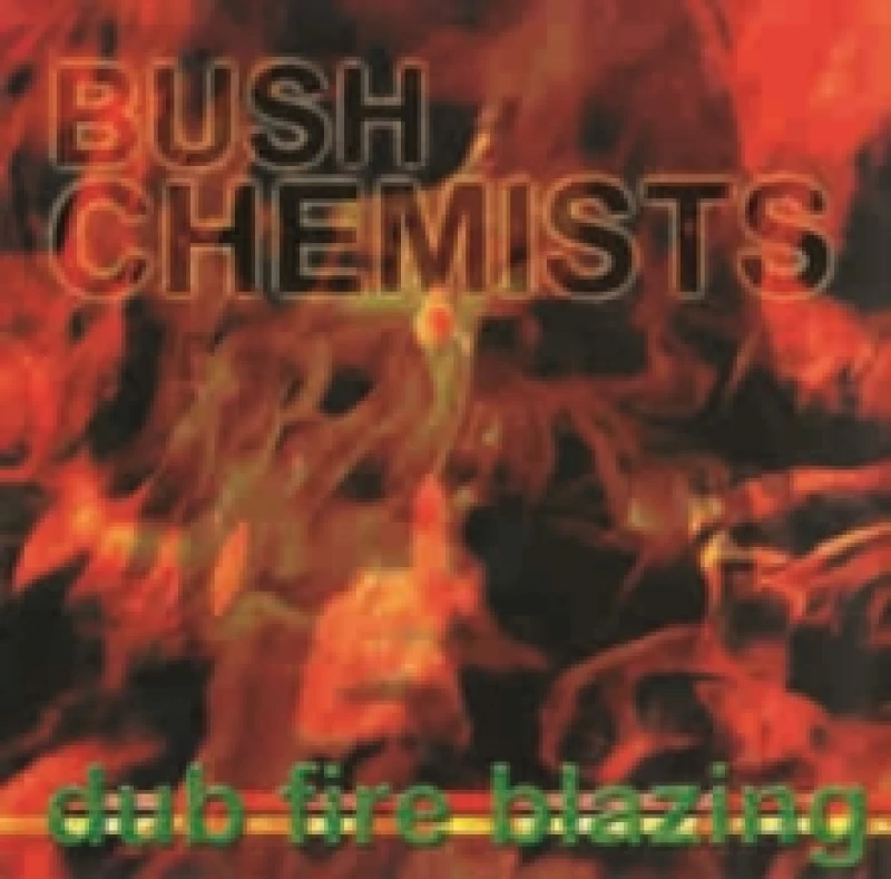Image of Dub Fire Blazing Vinyl