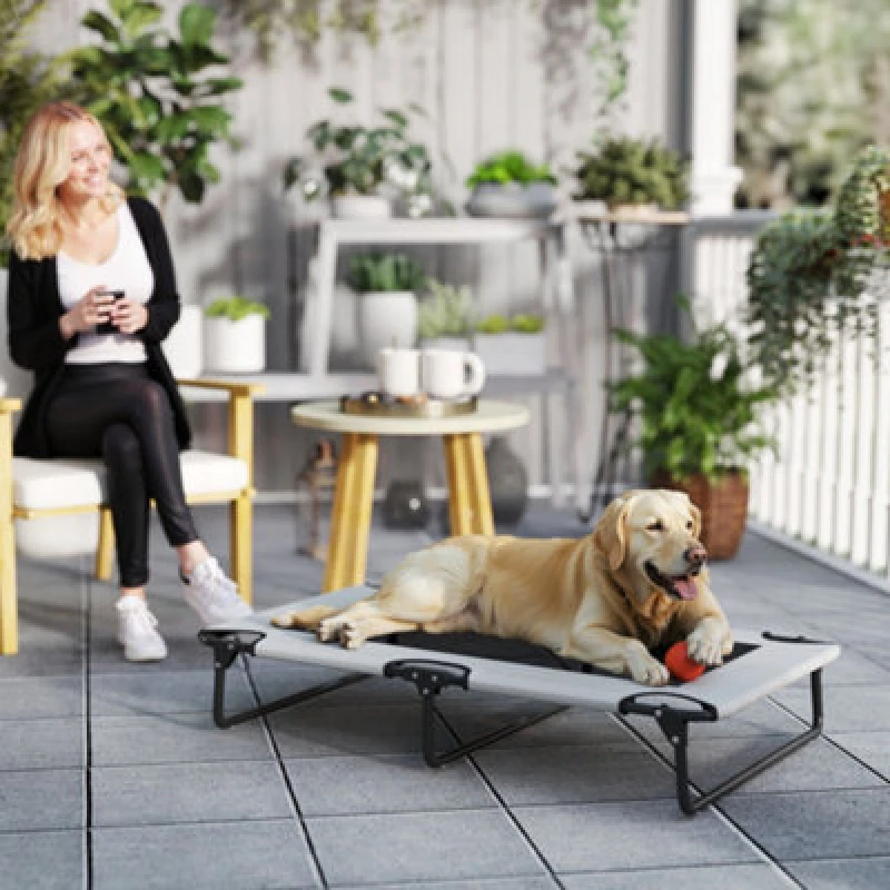 Image of PawHut Raised Dog Bed with Breathable Mesh for Large Dogs, Light Grey D04-299V01LG
