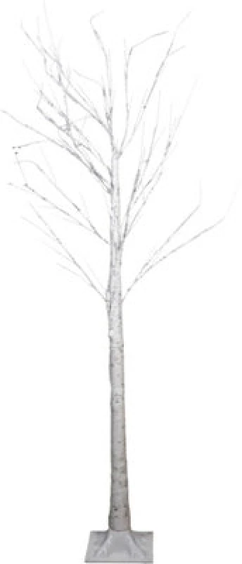 Image of St Helens Indoor/Outdoor LED Birch Tree With Timer White unisex