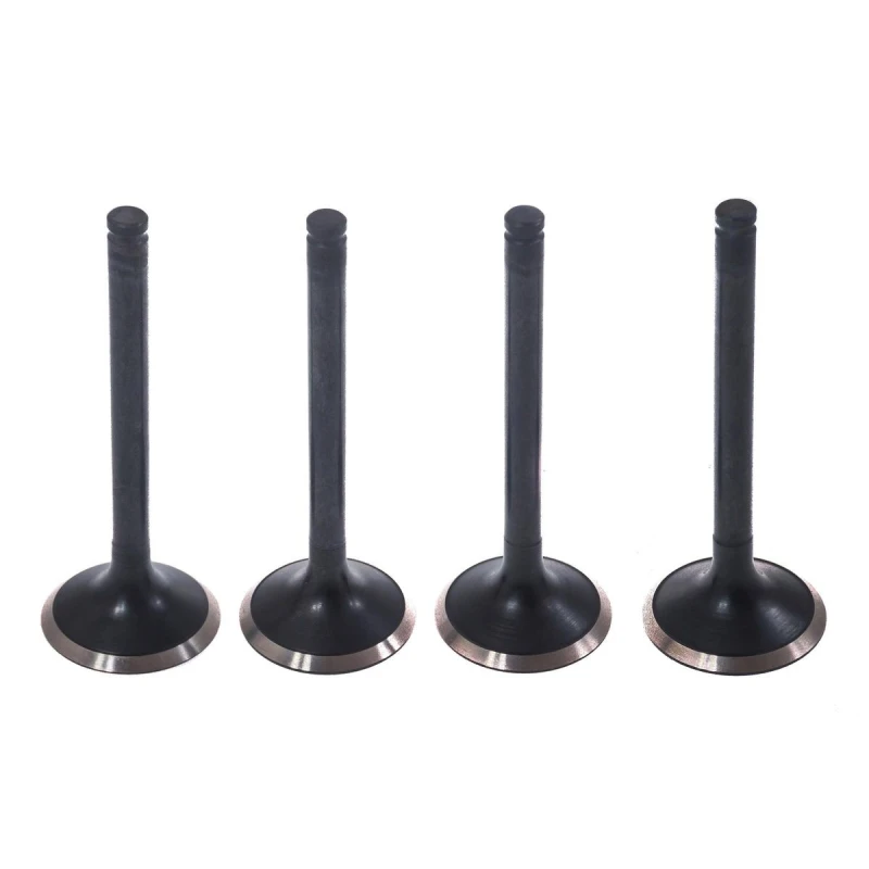 Image of MASTER-SPORT Inlet valve MASTER-SPORT D-IN-SET/4/-MS