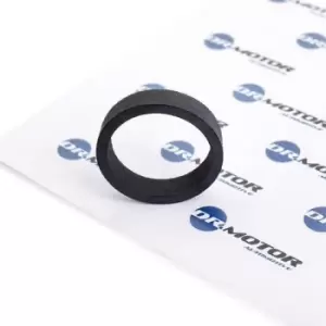Image of DR.MOTOR AUTOMOTIVE Seal, crankcase breather DRM065 RENAULT,Clio III Schragheck (BR0/1, CR0/1),TWINGO II (CN0_),MEGANE III Grandtour (KZ0/1)