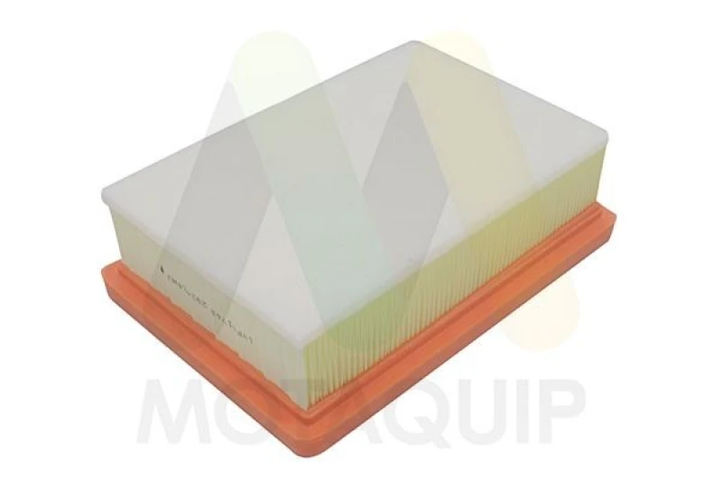Image of MOTAQUIP Air filter MOTAQUIP LVFA1748