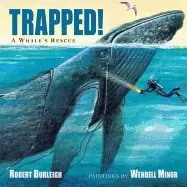 Image of trapped a whales rescue