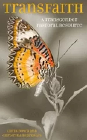 Image of transfaith a transgender pastoral resource
