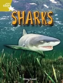 Image of Rigby Star Independent Year 2 Gold Non Fiction Sharks Single