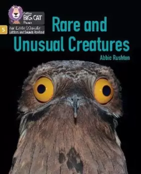 Image of Rare and Unusual Creatures by Abbie Rushton