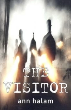 Image of The Visitor by Ann Halam Paperback