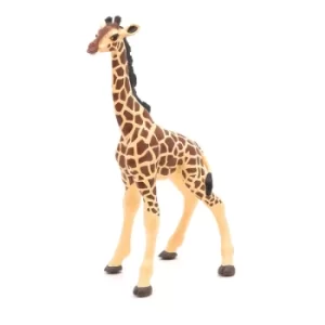 image of PAPO Wild Animal Kingdom Giraffe Calf Toy Figure, Three Years or Above, Multi-colour (50100)