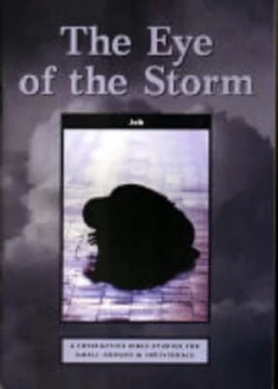 Image of The Eye of the Storm job Paperback