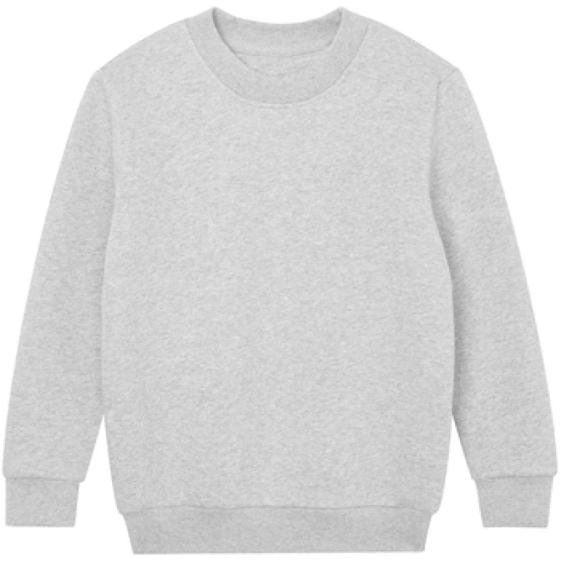 Image of Mantis Essential boys's Sweatshirts in Grey