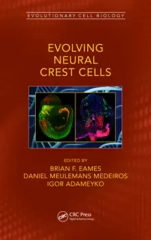 Image of Evolving Neural Crest Cells