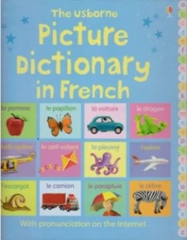 Image of The Usborne Picture Dictionary in French by Felicity Brooks and Mairi Mackinnon Hardback