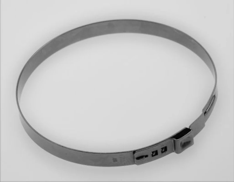 Image of Clamping Clip SPIDAN 190826