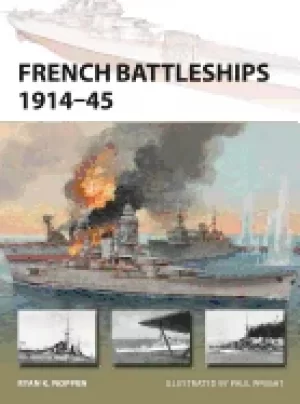 Image of french battleships 1914 45