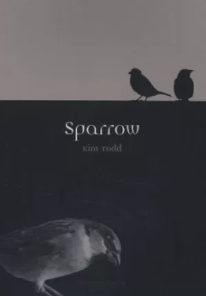 Image of Sparrow by Kim Todd