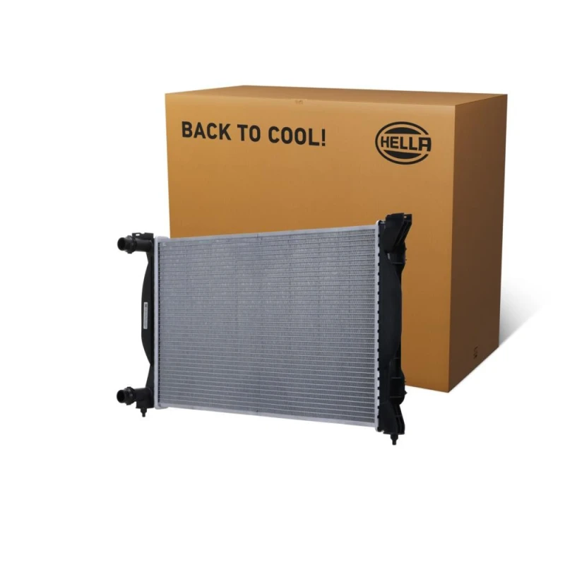 Image of HELLA Engine radiator HELLA 8MK 366 300-521