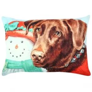 Image of A50907 Multicolor Cushion