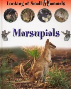 Image of Marsupials by Sally Morgan Hardback
