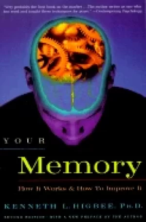 Image of your memory how it works and how to improve it