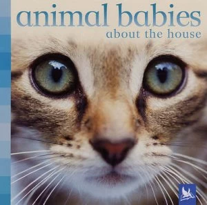 Image of Animal Babies about the House by Vicky Weber Hardback