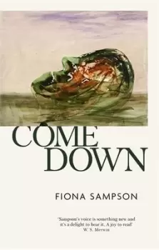 Image of Come down by Fiona Sampson