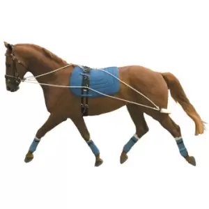 Image of Kincade Lunging Training System - Brown