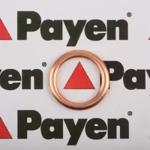 Image of PAYEN Oil Drain Plug Gasket PA349 Oil Drain Plug Seal,Drain Plug Gasket MERCEDES-BENZ,OPEL,FORD,A-Klasse (W177),CITAN Kasten (415)