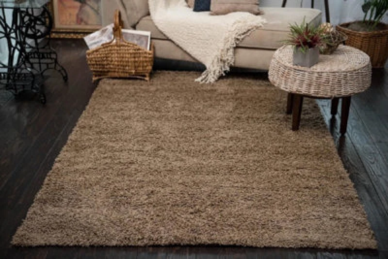 Image of Smart Living Smart Living Soft Fluffy 5cm Thick Pile Shaggy Area Rugs for Living Room, Bedroom in Beige Size: 200cm x 290cm Beige 200cm x 290cm Unis