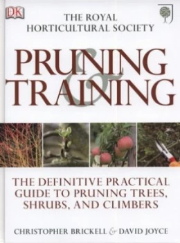 Image of Pruning and Training by Dk Hardback