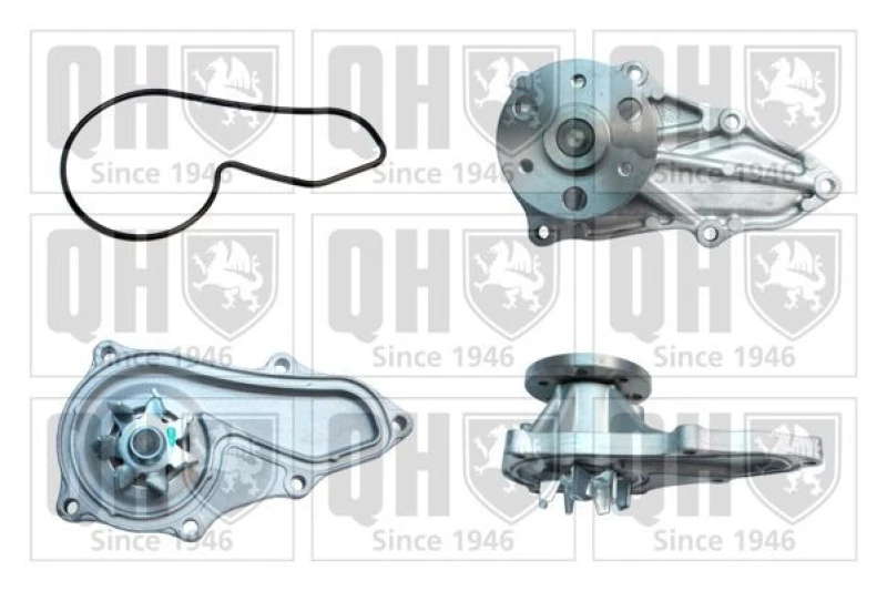 Image of QUINTON HAZELL Water pump QUINTON HAZELL QCP3802