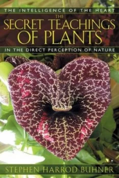 Image of The secret teachings of plants by Stephen Harrod Buhner