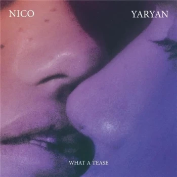 Image of Nico Yaryan - What A Tease Vinyl