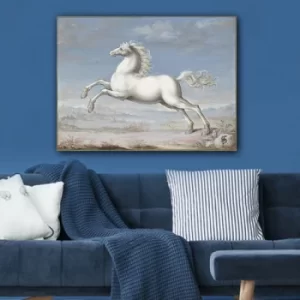 Image of 452826874_70100 Multicolor Decorative Canvas Painting