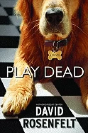 Image of play dead a novel
