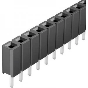 Image of Fischer Elektronik Receptacles standard No. of rows 1 Pins per row 36 BL LP 1 36S