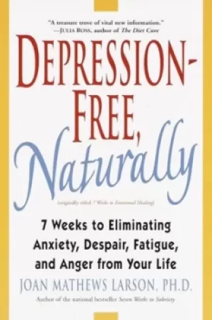 Image of Depression-Free Naturally by Joan Mathews Larson