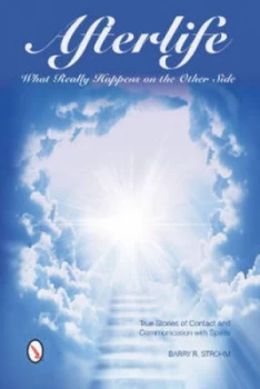 Image of Afterlife by Barry R Strohm Paperback