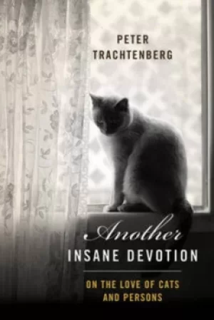 Image of Another insane devotion by Peter Trachtenberg