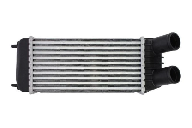 Image of THERMOTEC Intercooler THERMOTEC DAP006TT